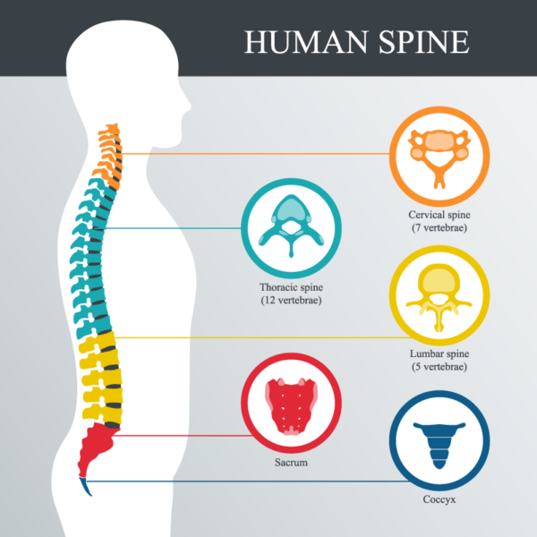 Symptoms of Spine Injuries in Athletes